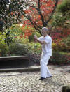 Innere Kampfkunst: Dr. Langhoff Inneres Tai Chi Ausbildung, kostenlose Kassen-Zulassung