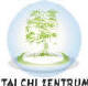 Tai Ch Dachverband Ausbildung Taijiquan Zertifizierung
